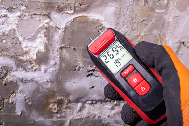 Best Mold Remediation for Schools in Wollochet, WA